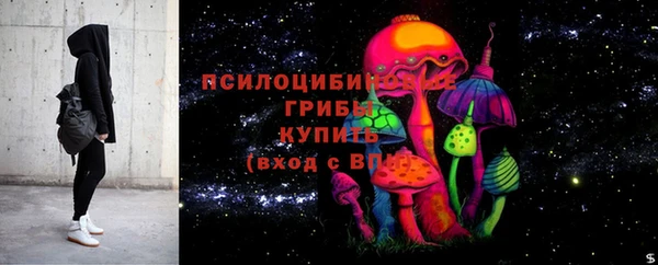 герыч Мегион