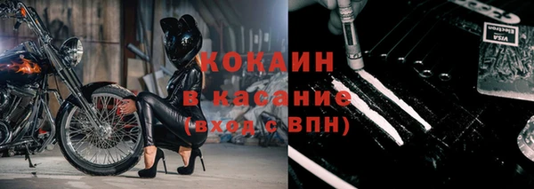 стафф Медногорск