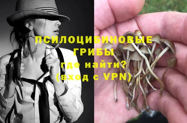 прущая мука Медвежьегорск
