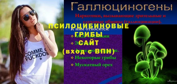 стафф Медногорск