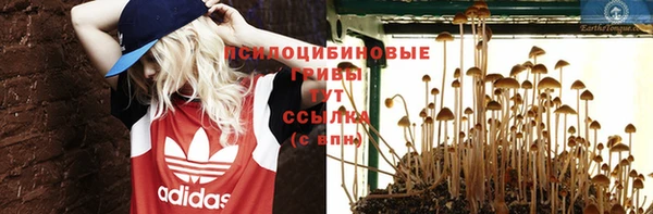 герыч Мегион