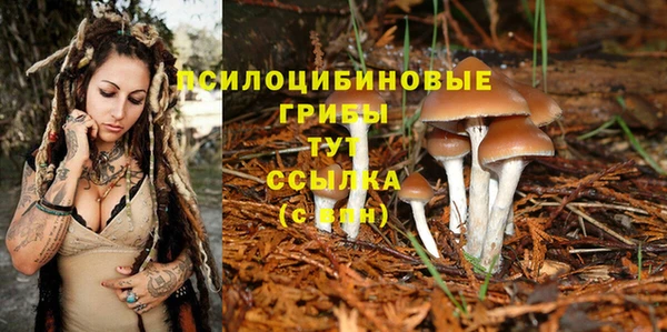 прущая мука Медвежьегорск