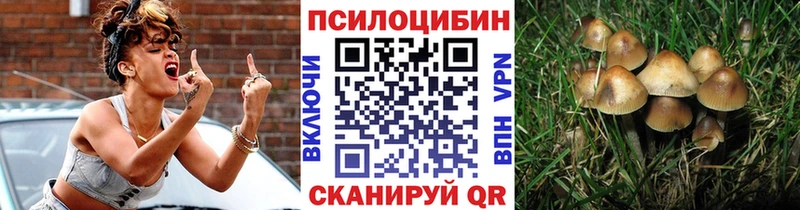 Псилоцибиновые грибы Cubensis  Старая Купавна 